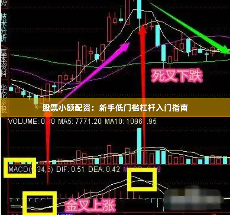 股票小额配资：新手低门槛杠杆入门指南