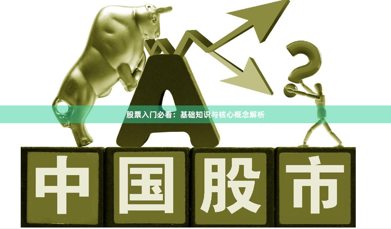 股票入门必看：基础知识与核心概念解析